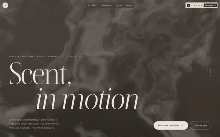 Fum&eacute;e concept, first screen