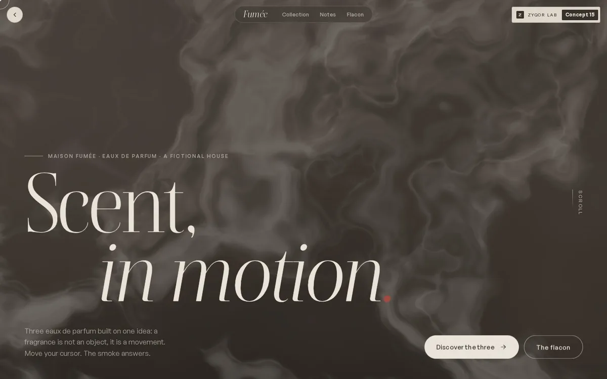 Fum&eacute;e concept, first screen